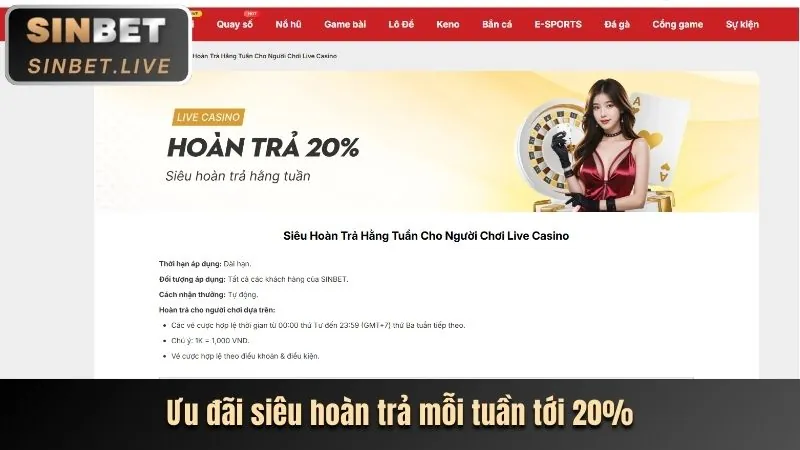Hoàn trả cao cấp